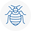 Bed Bug Extermination In Thirsk